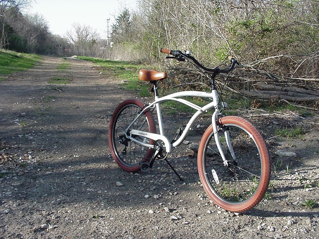 My Retrospec Beach Cruiser on some grave